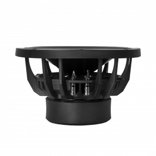 DLS RSW10.D2
