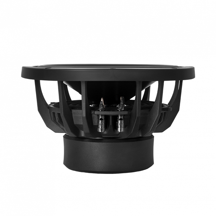 DLS RSW10.D2