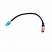 Prology NTE-520N