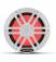 Rockford Fosgate M1D4-10	